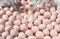 Драже "Фундук в белом шоколаде с сублиматом питахайи цвета фуксии - Tropica Lux" (короб 3 кг) - фото 42963