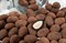 Драже "Миндаль в шоколаде в обсыпке какао - Трюфель Premium" (короб 3 кг) - фото 43131